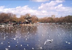 Kunming Cuihu Park