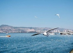 Kunming Dianchi Lake